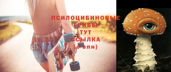экстази Пролетарск