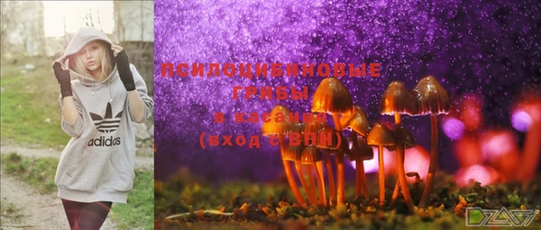 mdma Протвино