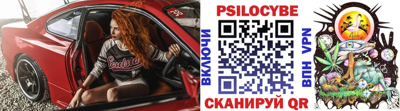 Псилоцибиновые грибы прущие грибы Вязьма