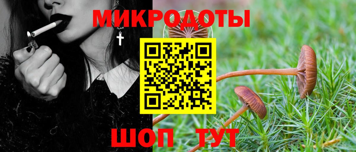 Галлюциногенные грибы GOLDEN TEACHER Вязьма