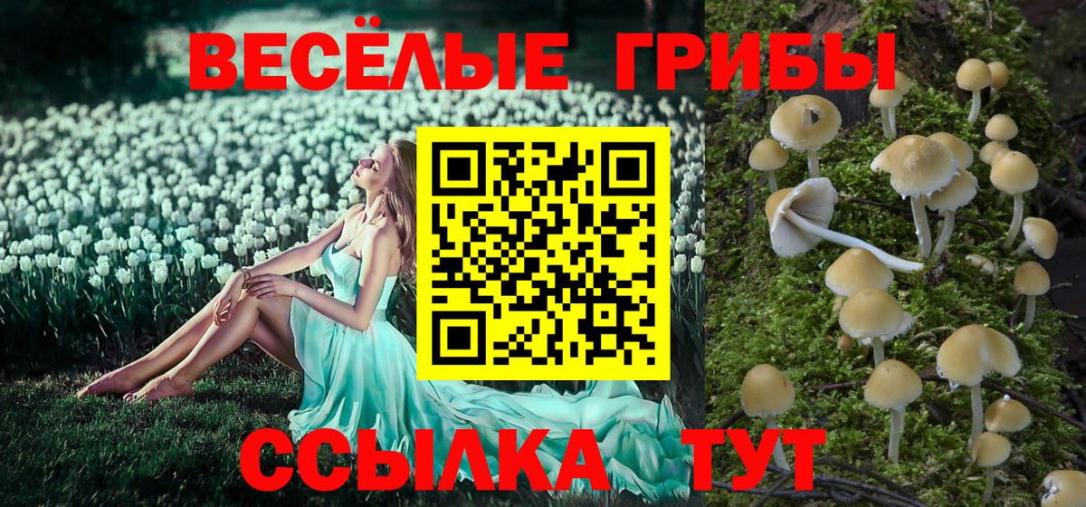 Вязьма  Галлюциногенные грибы Magic Shrooms  Вход с VPN 